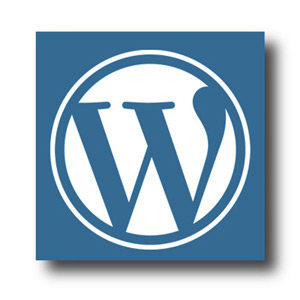 WordPress Webdesign Joconcept
